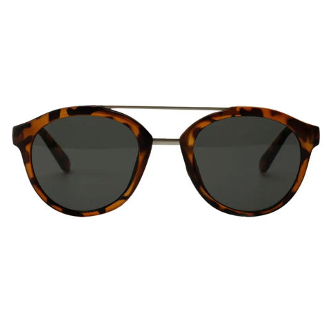 Camden Sunnies